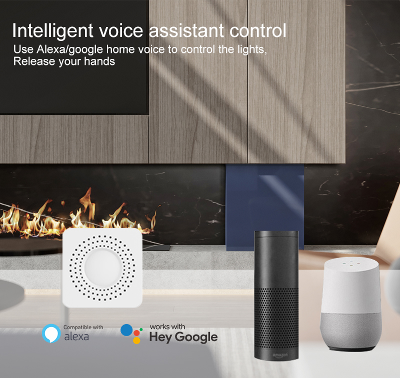 Tuya Mini Smart Switch WiFi 1- - đánh giá và giá Smart Home Voice Control