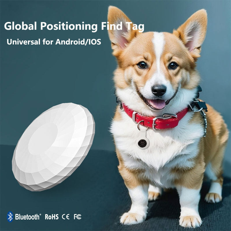 Smart Tag Really Global Positi - đánh giá và giá Smart Home Samsung